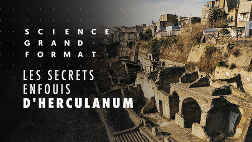 Image Les secrets enfouis d'Herculanum
