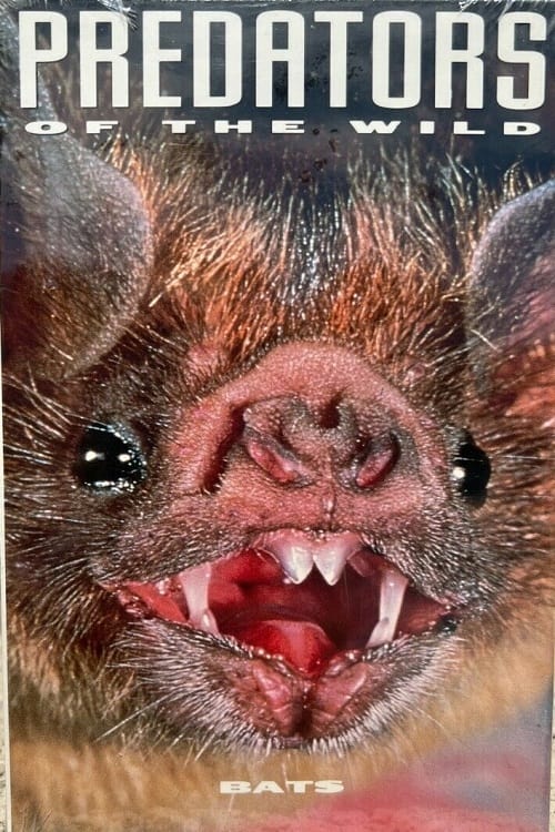 Poster Predators of the Wild: Bats 1991