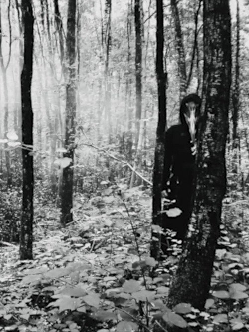 Visions of the Shadow Kingdom II