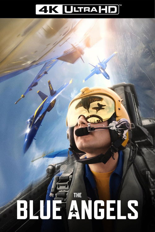 The Blue Angels poster