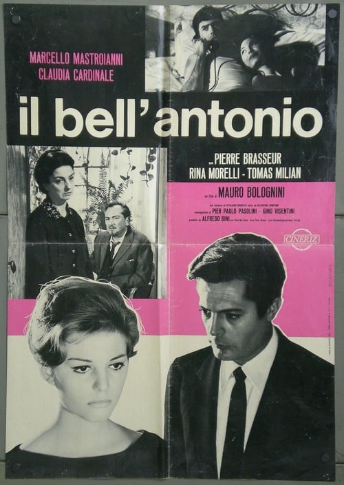 Il bell'Antonio (1960) poster