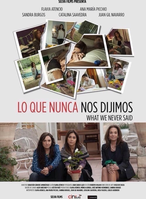 What We Never Said Movie Poster Image