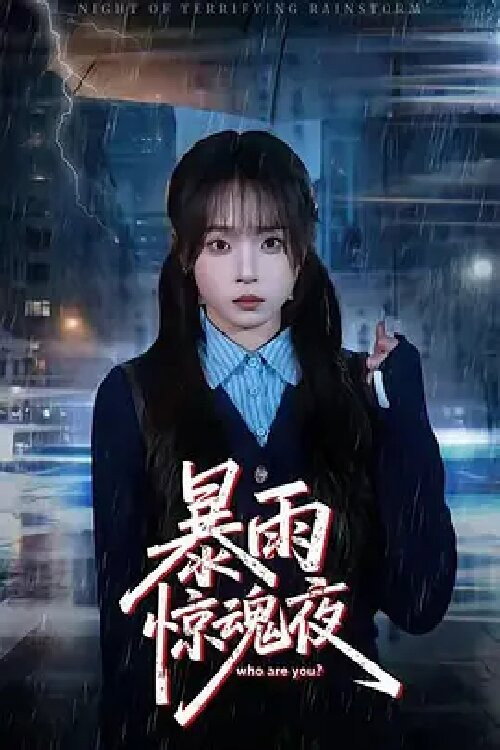 Poster for 暴雨惊魂夜