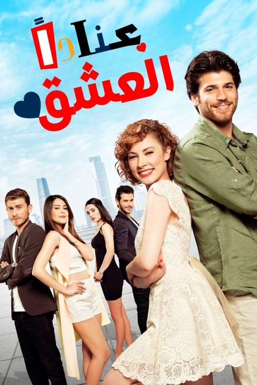 Escena 5 de Amor Obstinado