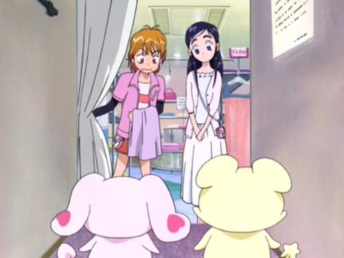 Poster della serie Pretty Cure
