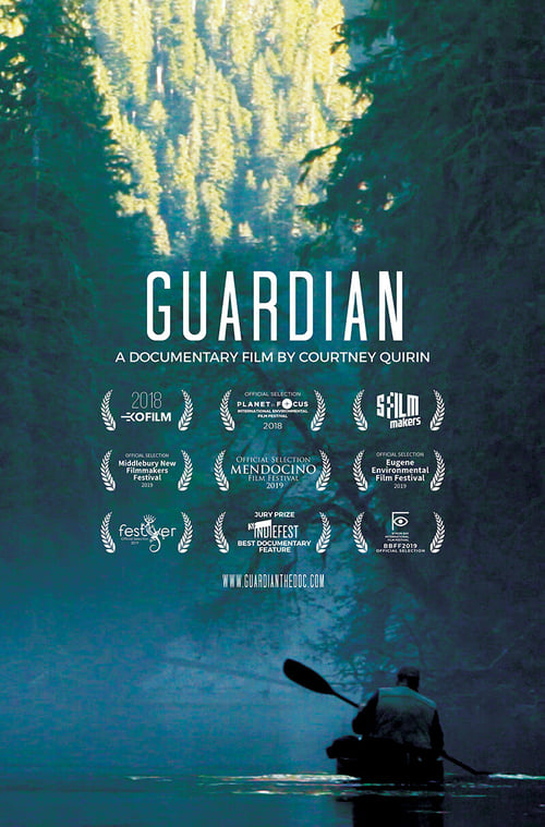 Guardian poster