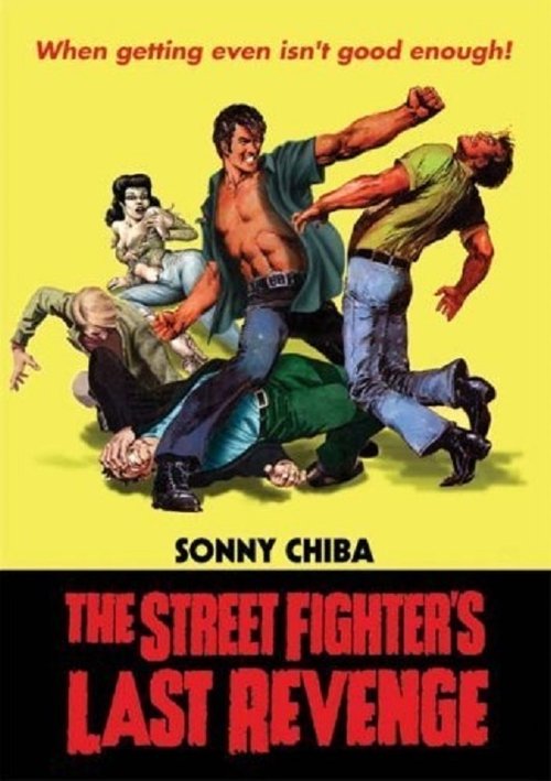 The Street Fighter's Last Revenge poster