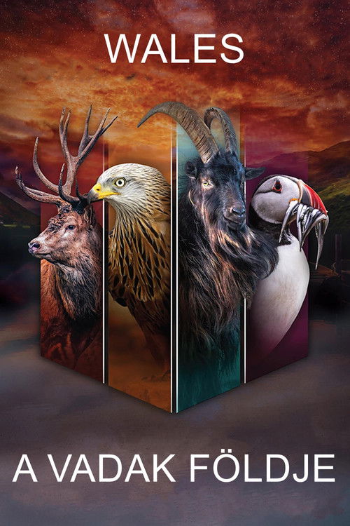 Escena 5 de Wales: Land of the Wild