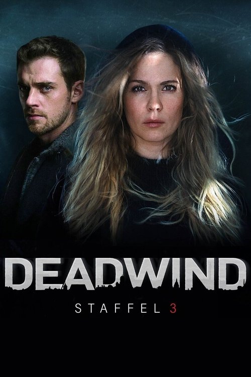 Ver temporada 3 de Deadwind Póster de la temporada 3 de la serie Deadwind