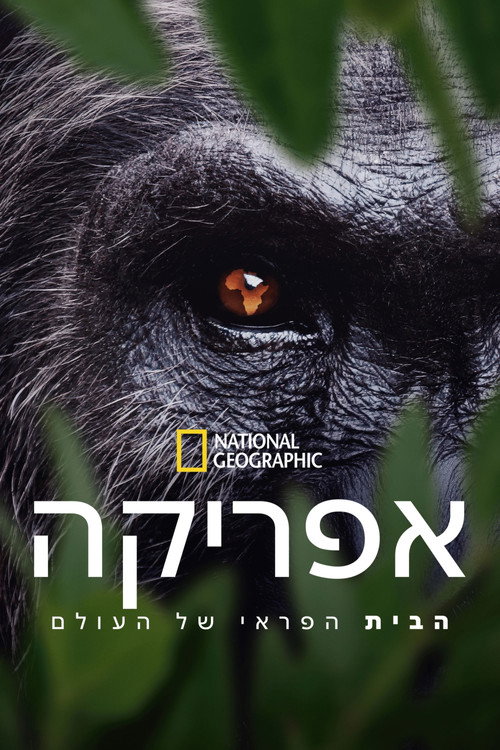 Africa Earth's Wild Home