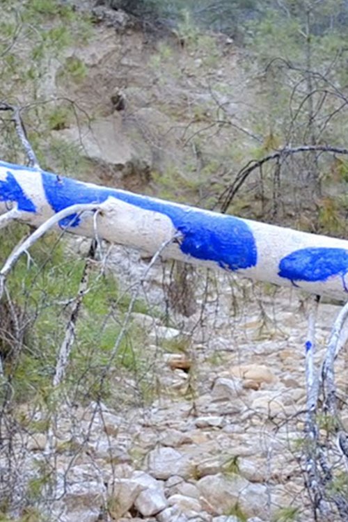 (IKB) - Body Print Into Landscape poster