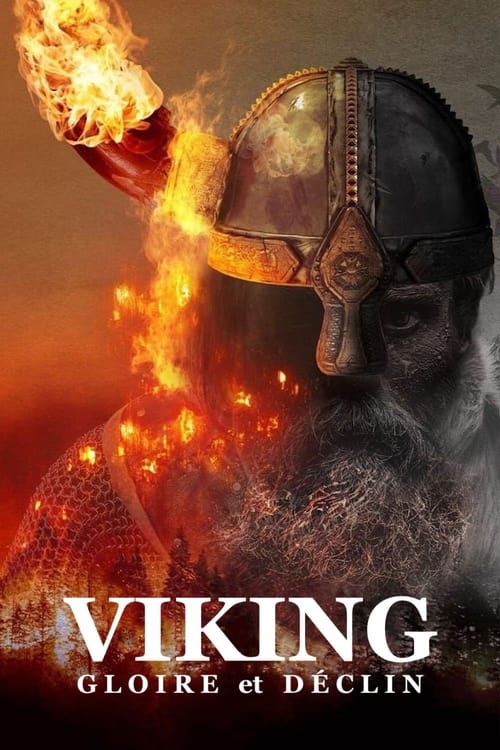 Vikings : Gloire et déclin poster