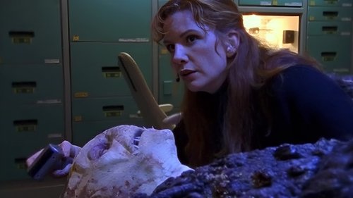 Image de l'épisode 6