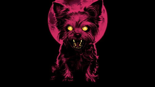 The Yorkie Werewolf