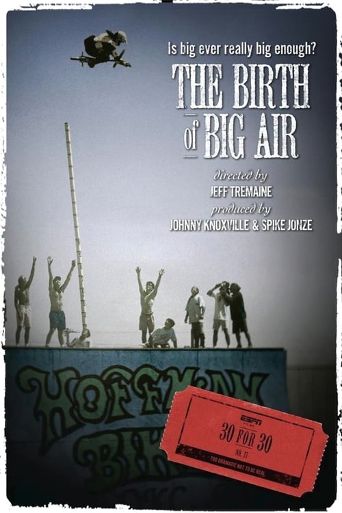 Grootschalige poster van The Birth of Big Air