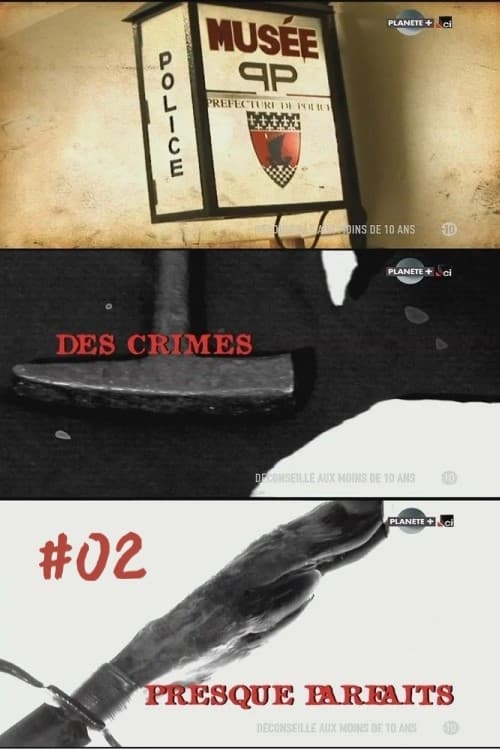 Des crimes presque parfaits, S02 - (2011)