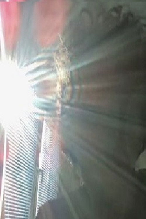 Foto de antonio dimovski