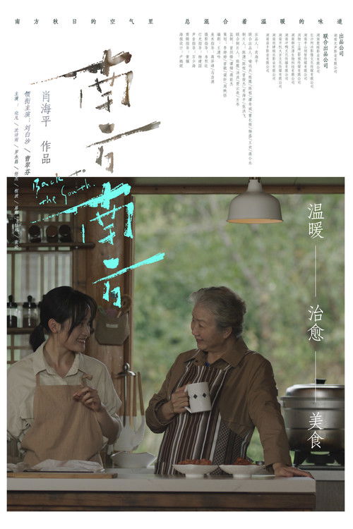 Back to the South poster