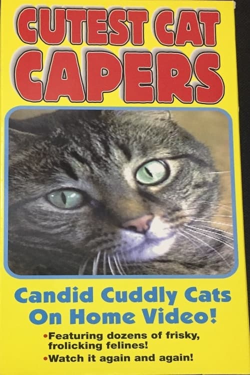 Poster Cutest Cat Capers 1995