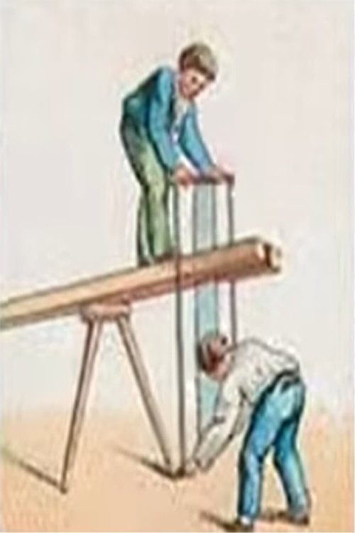 Les Scieurs de Long poster