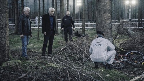 Escena del episodio 21 de la temporada 51 de la serie Tatort