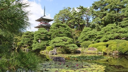 Saving the World's Forests