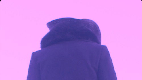 Cold Days From the Treetops — Fondos 8