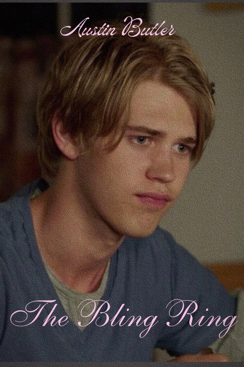 The Bling Ring poster