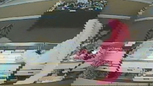 The Bling Ring of South Florida