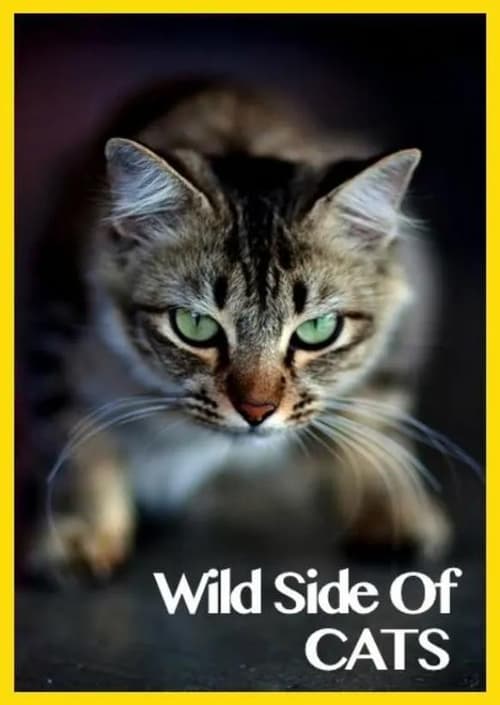 Poster Wild Side of Cats 2012