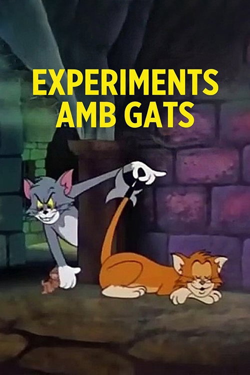 Cartell de Experiments amb gats