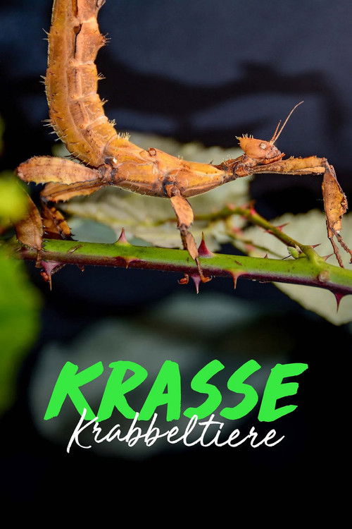 Krasse Krabbeltiere
