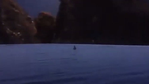 Image du film