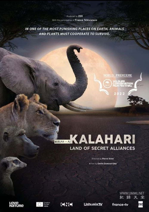 客拉哈里：秘密联盟 (2022) poster