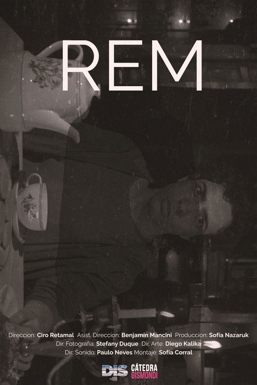 REM poster