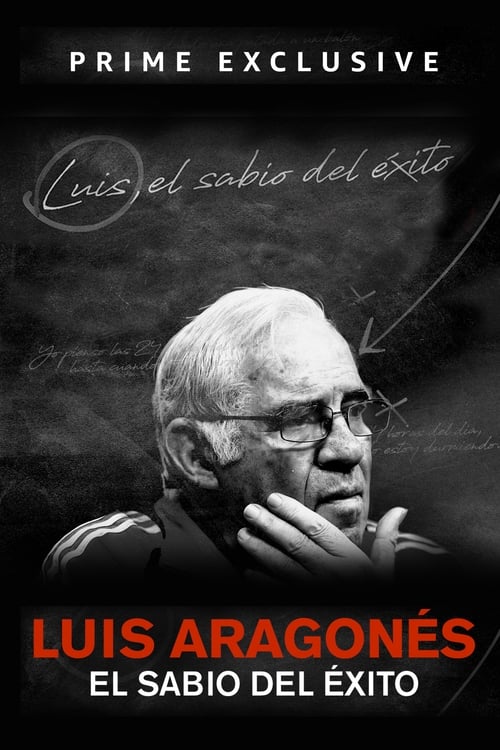 Luis, el sabio del éxito poster