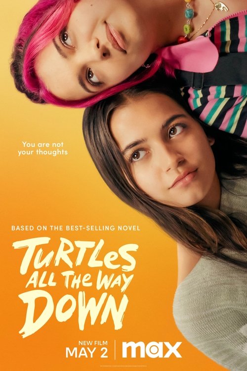 Turtles All the Way Down poster