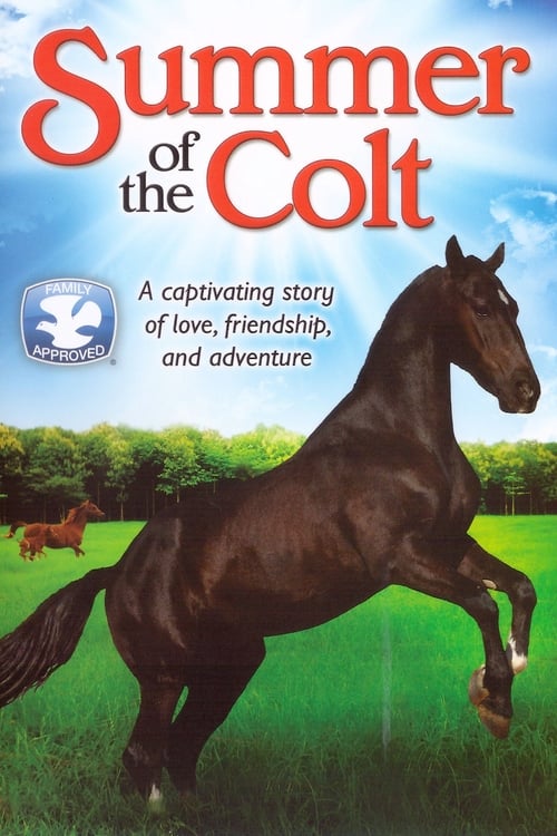 Summer of the Colt Movie Poster Image