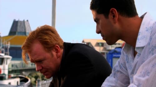 Poster della serie CSI: Miami