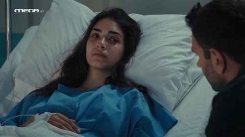 Épisode 12