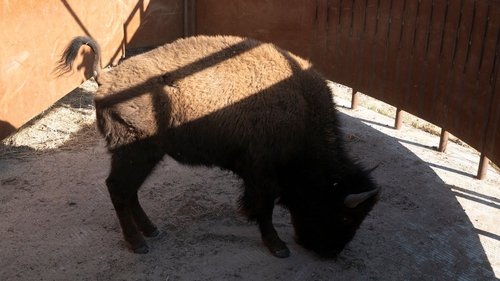 Épisode 5