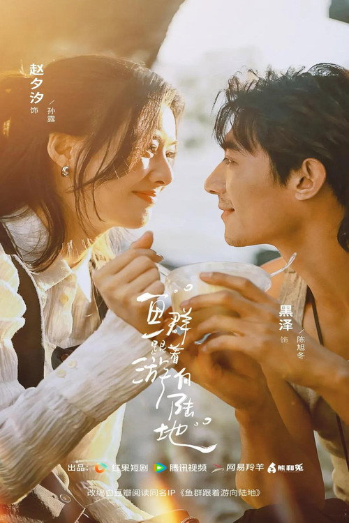 鱼群跟着游向陆地 Poster