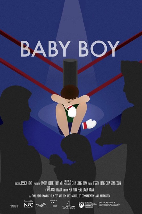 Baby Boy poster