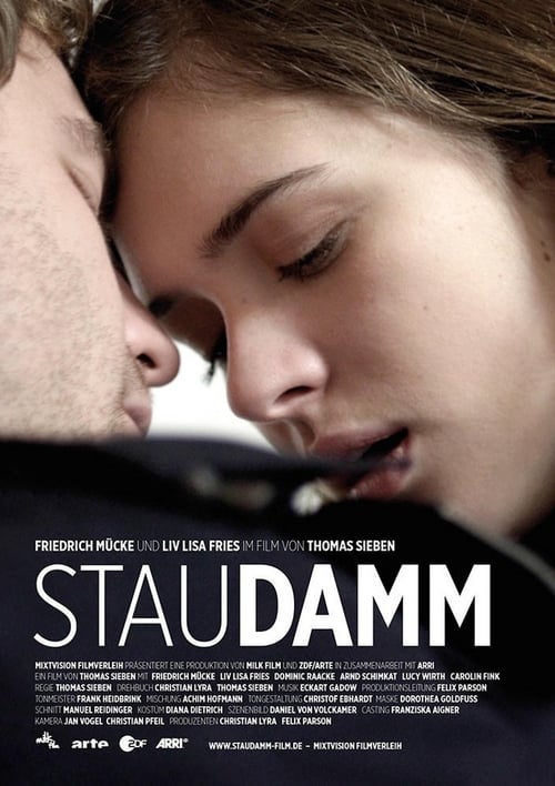 Staudamm (2014)