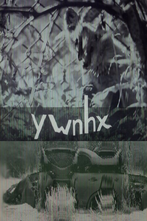 ywnhx (2023)