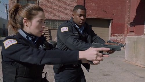 Chicago P.D.: Distrito 21: 1×3