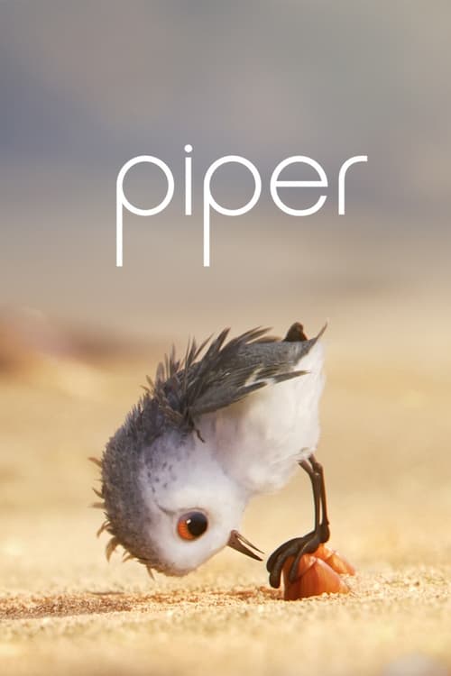 Grootschalige poster van Piper
