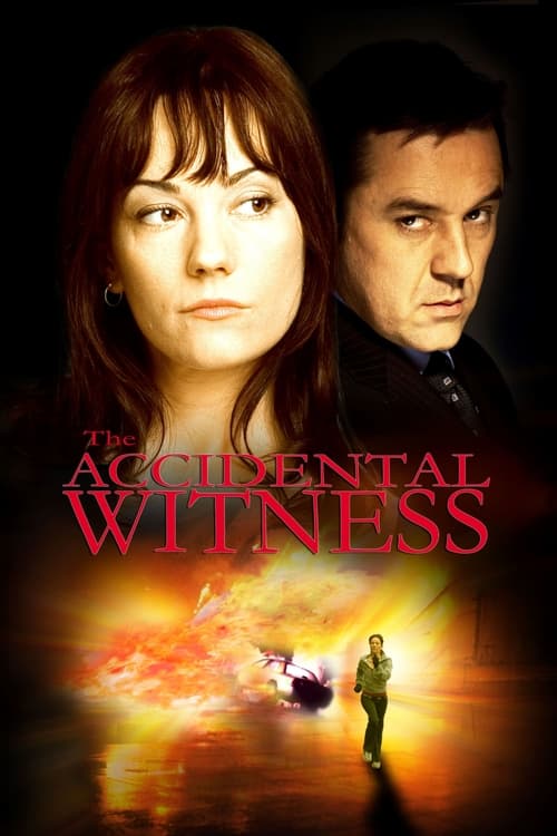 The Accidental Witness Movie Poster Image