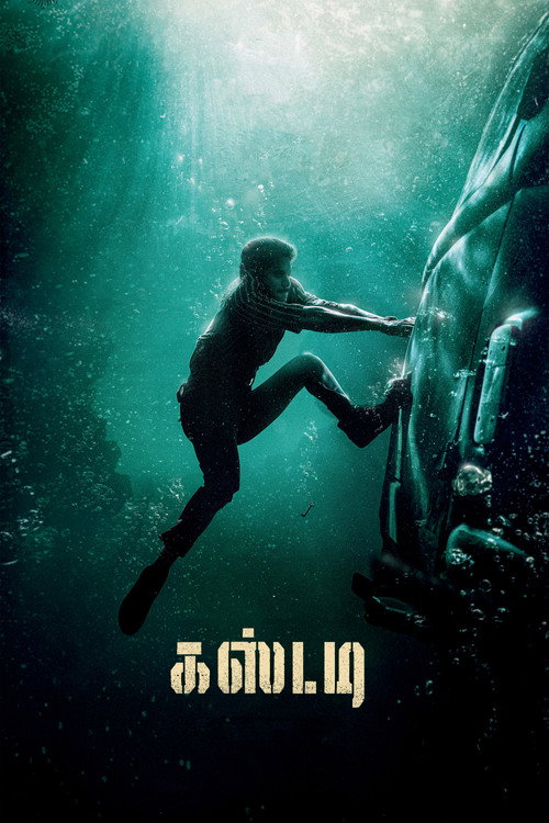 Custody poster