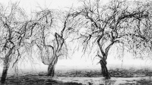Fugue for Cello, Trumpet and Landscape still